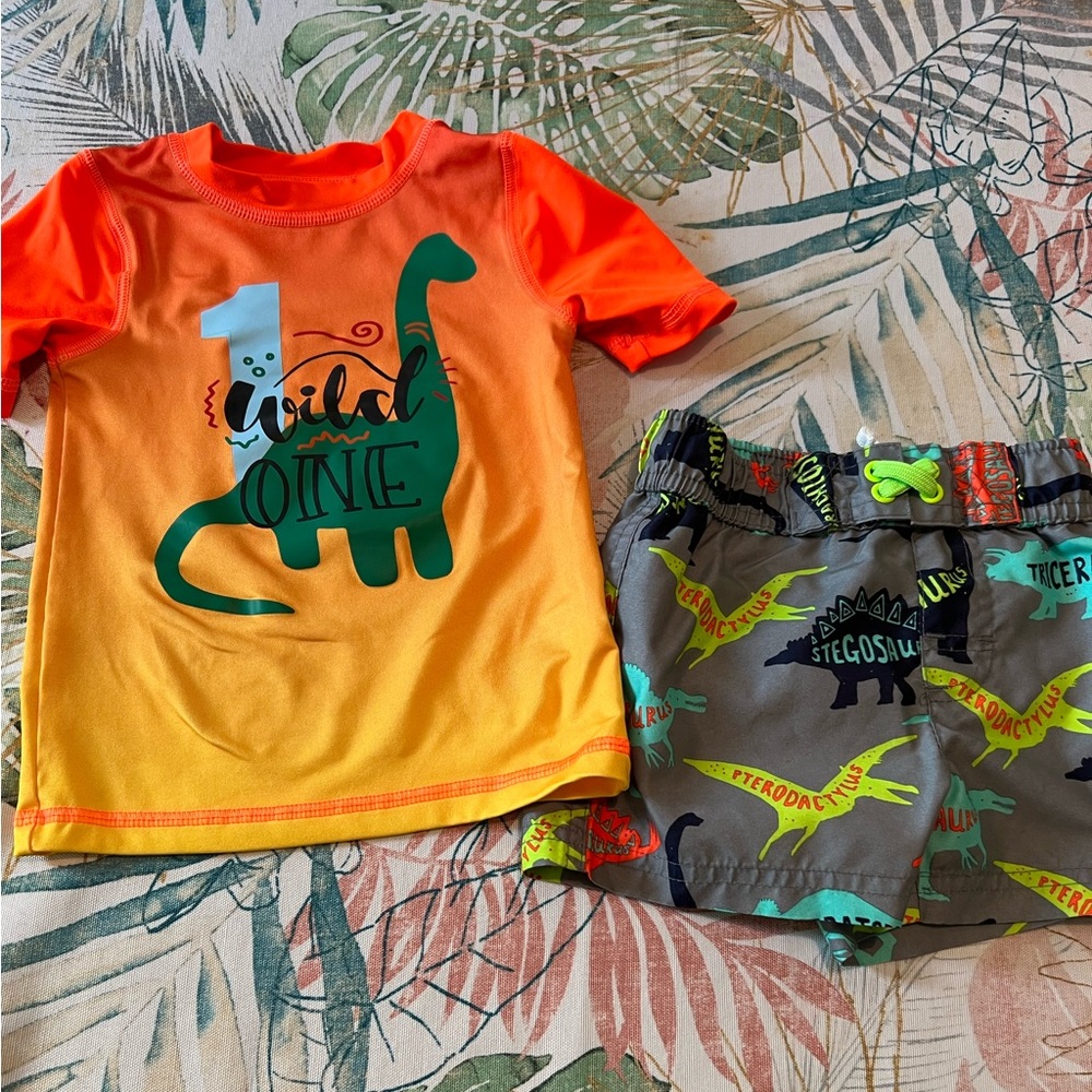18 months toddler boys rashguard and dinosaur swim trunks set